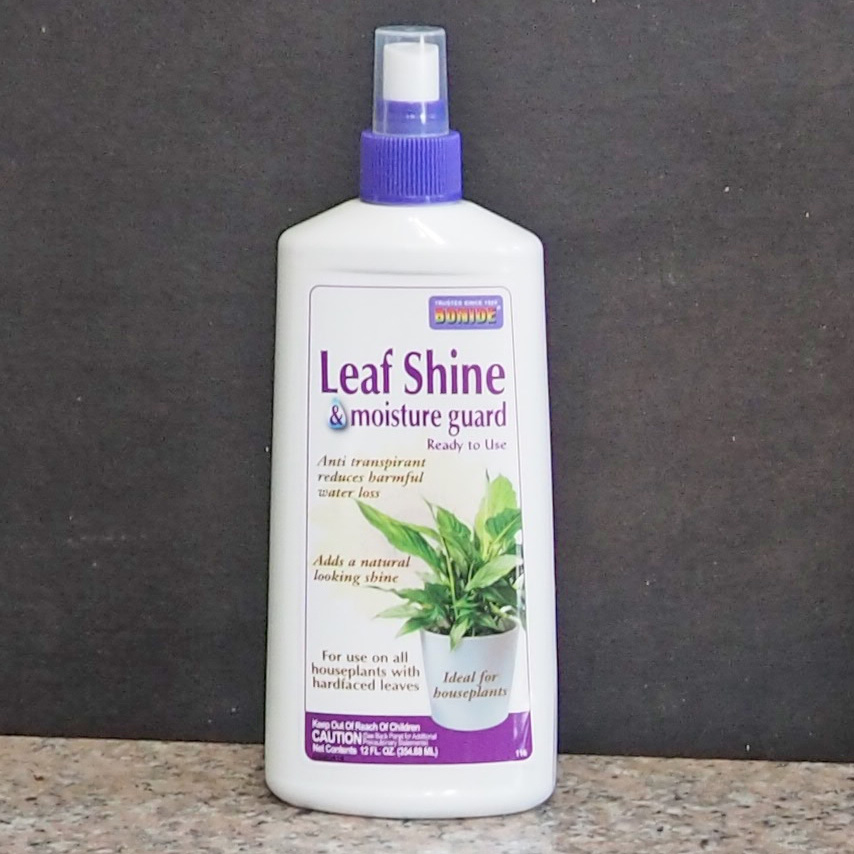 leaf shine