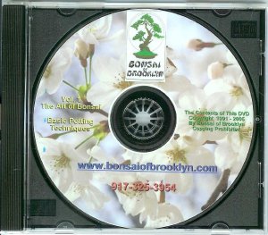 DVD-1