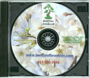 DVD-2