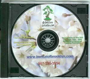 DVD-3